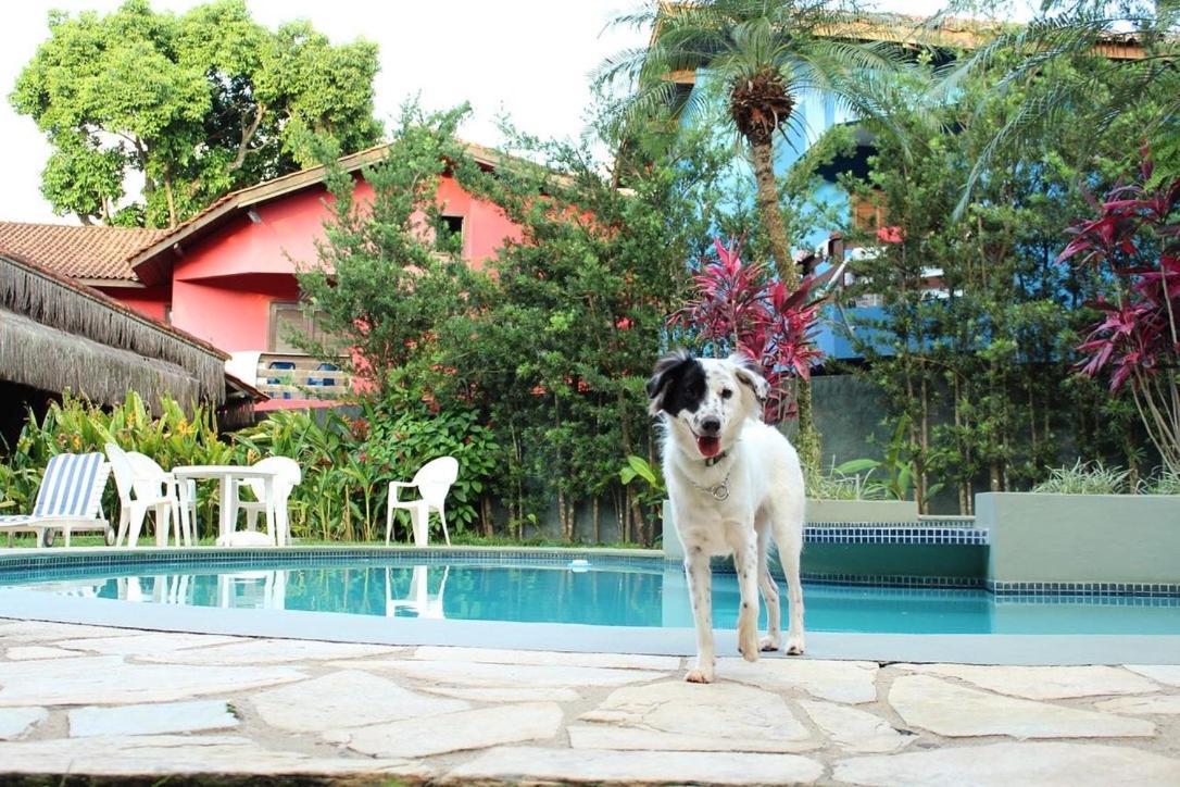 Pousada North Shore Maresias - 2 Quadras Da Praia - Casas De 2 Quartos - 80 M2 -2 Banheiros -Piscina Sauna - Estacion-Churrasq Privativa -Wifi Animais De Peq Porte Roupa De Cama E Banho Екстер'єр фото